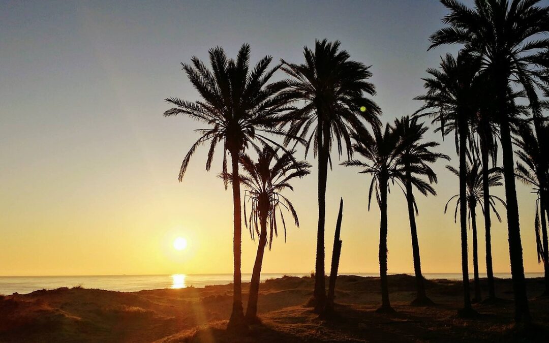 Nowa platforma zarządzania społecznością już dostępna