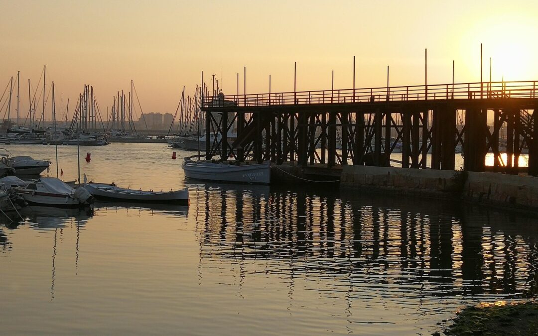 Powiadomienia i komunikaty w jednym miejscu
